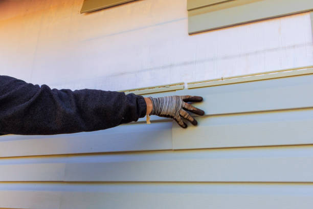 Best Vinyl Siding Installation  in Harmony Grove, CA